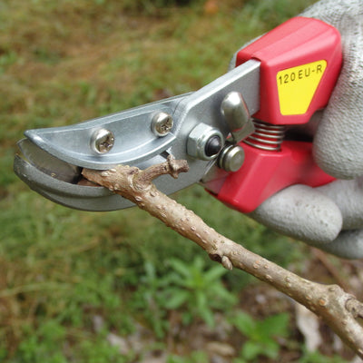 Puriri Lane | ARS120EU-R | Rose Pruning Secateurs