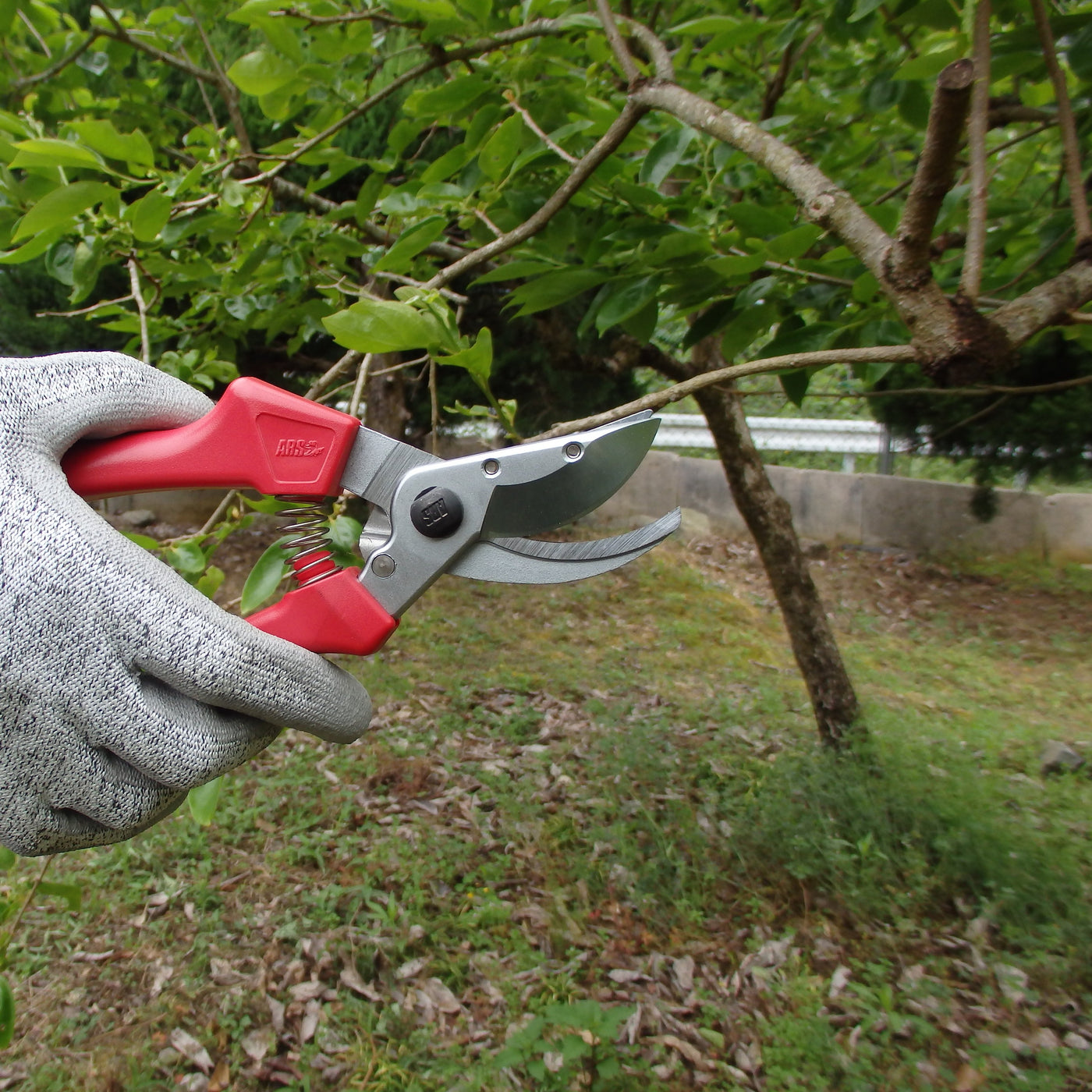 Puriri Lane | ARS120EU-R | Rose Pruning Secateurs