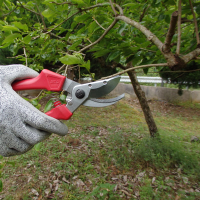 Puriri Lane | ARS120EU-R | Rose Pruning Secateurs