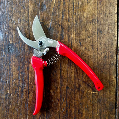 Puriri Lane | ARS130DX | Secateurs | Red