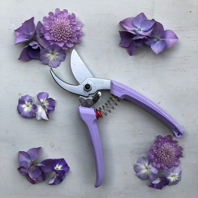 Puriri Lane | ARS130DX | Secateurs | Purple
