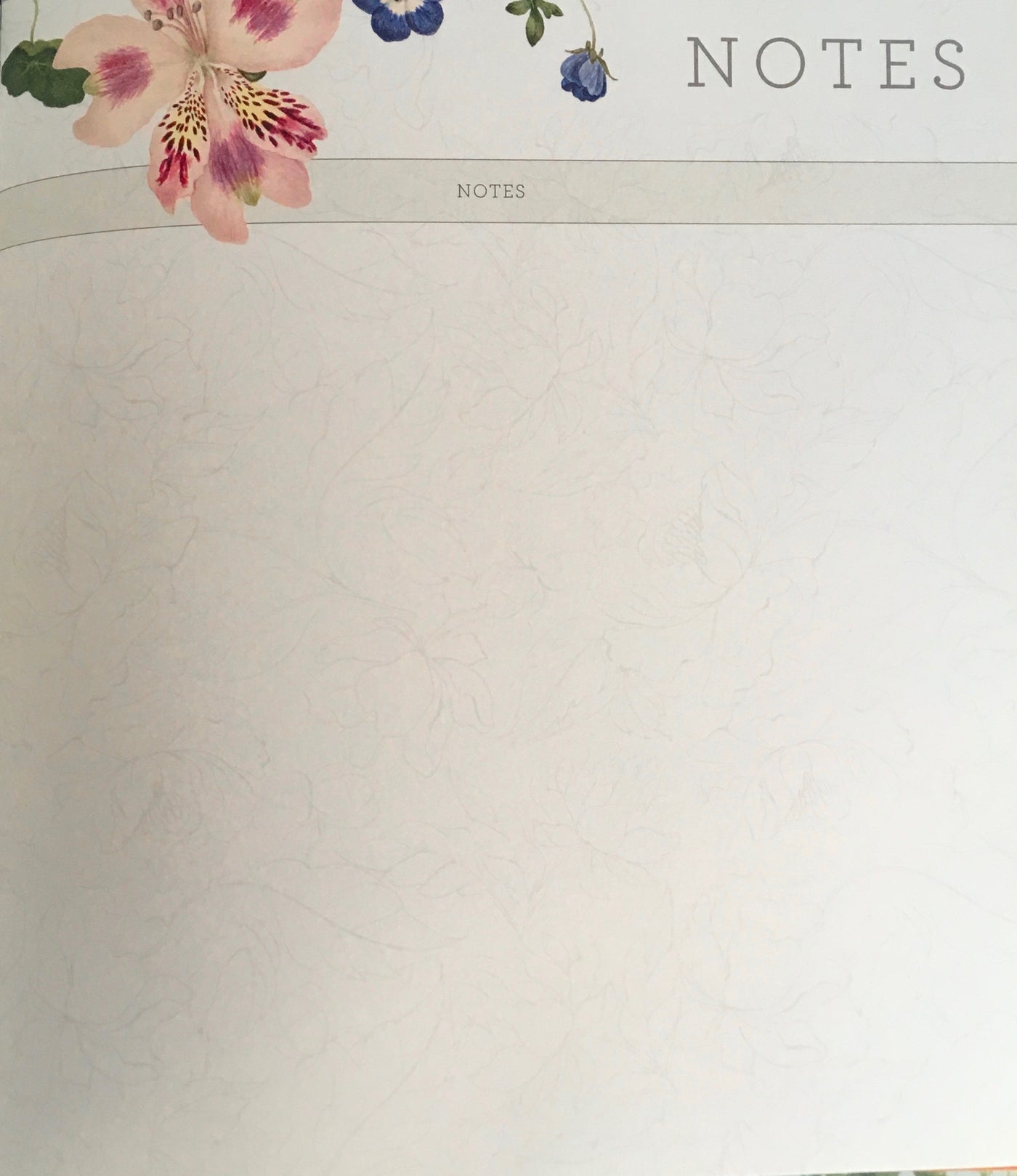 Puriri Lane | A Gardener's Five Year Record Book | Royal Horticultural Society