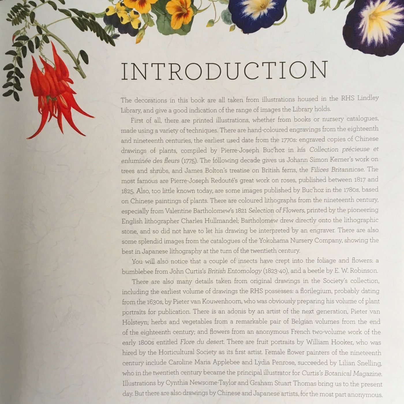 Puriri Lane | A Gardener's Five Year Record Book | Royal Horticultural Society