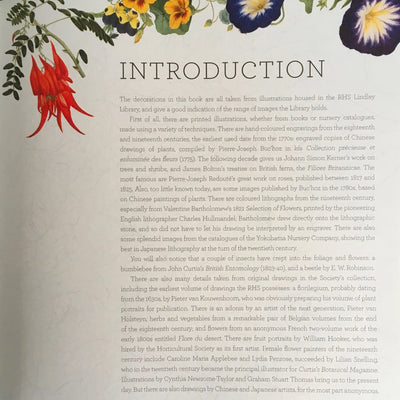 Puriri Lane | A Gardener's Five Year Record Book | Royal Horticultural Society