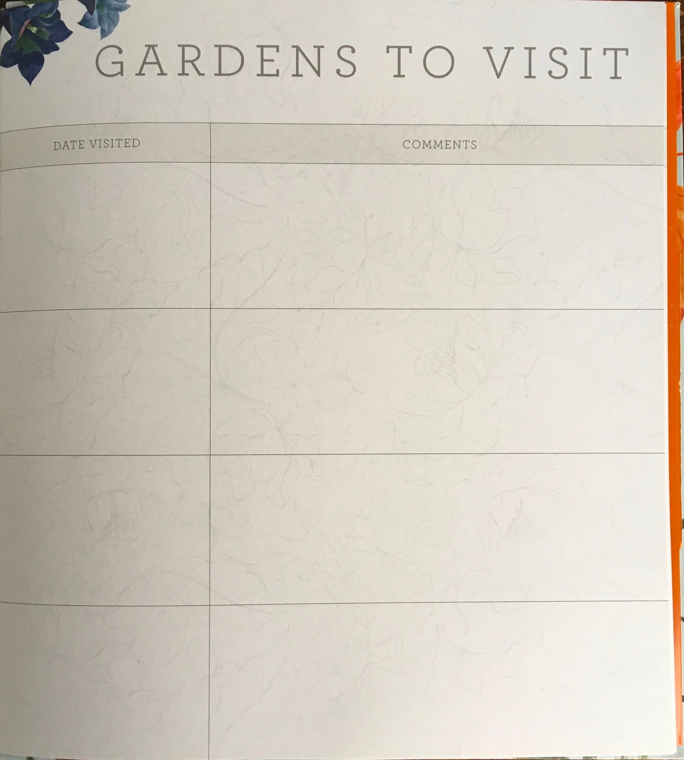 Puriri Lane | A Gardener's Five Year Record Book | Royal Horticultural Society