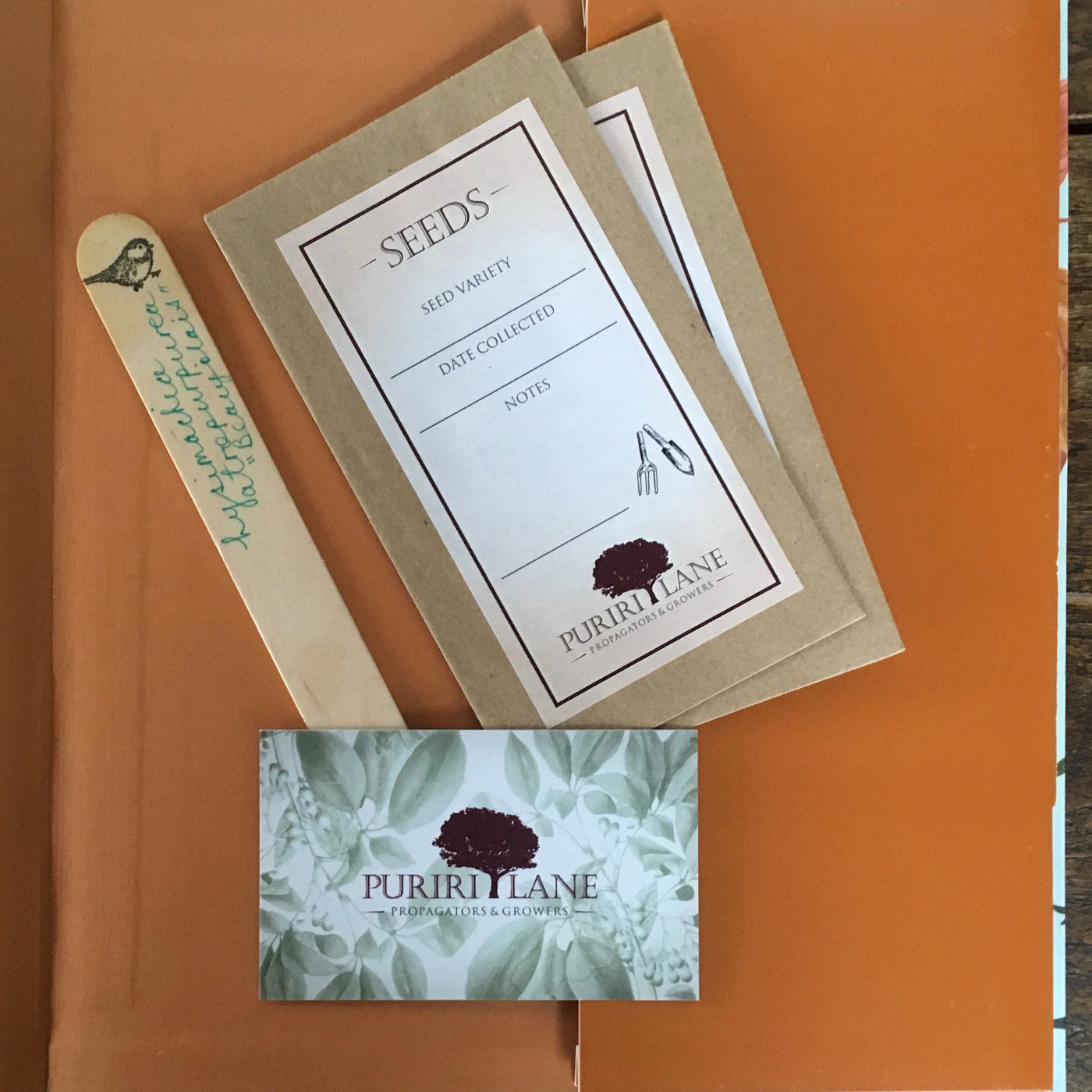 Puriri Lane | A Gardener's Five Year Record Book | Royal Horticultural Society