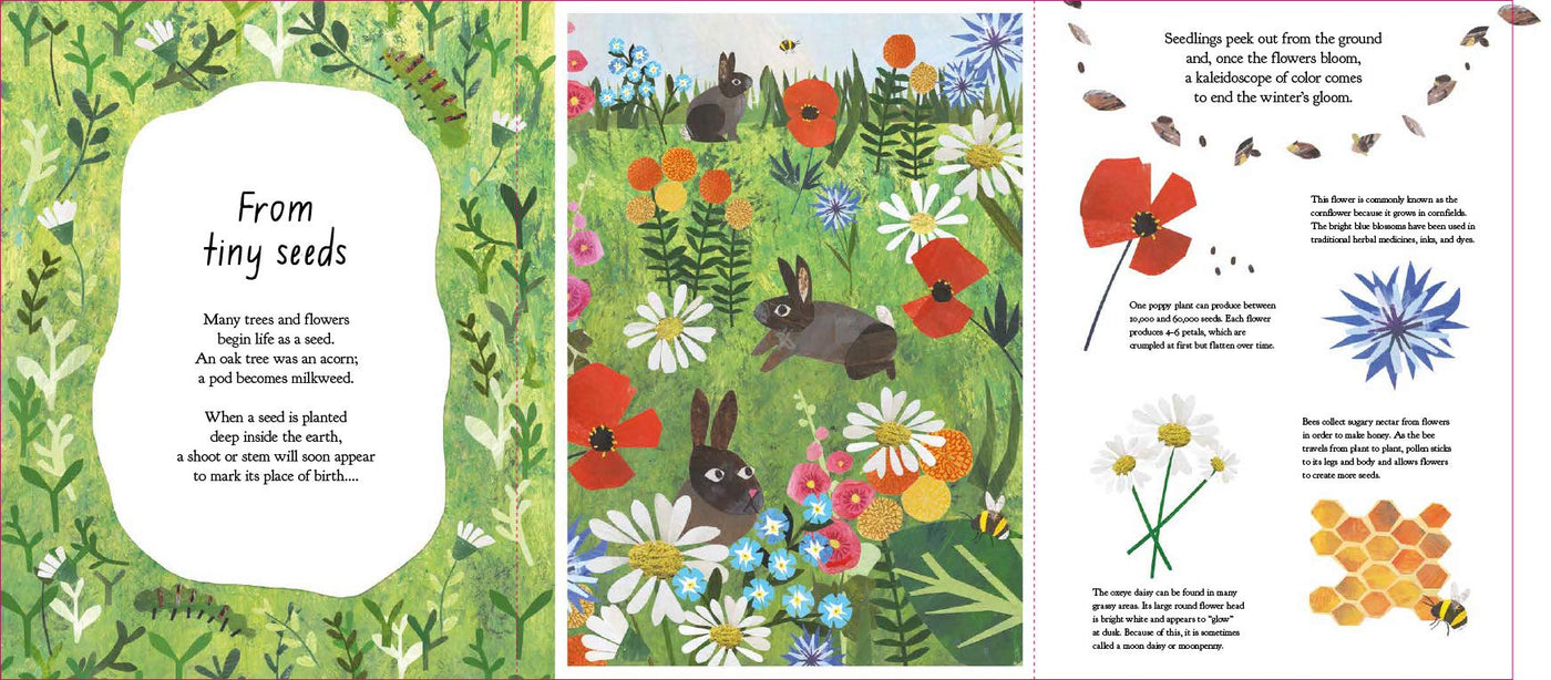 Puriri Lane | A Walk Through Nature | Libby Walden