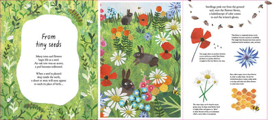 Puriri Lane | A Walk Through Nature | Libby Walden