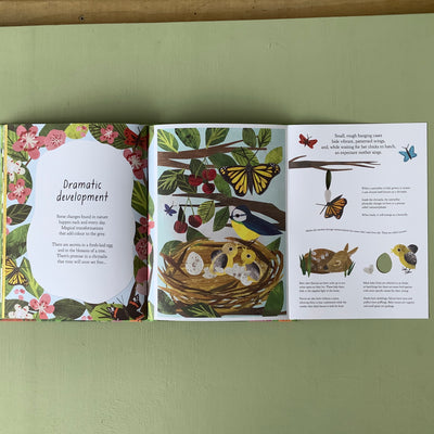 Puriri Lane | A Walk Through Nature | Libby Walden