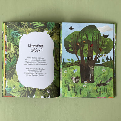 Puriri Lane | A Walk Through Nature | Libby Walden