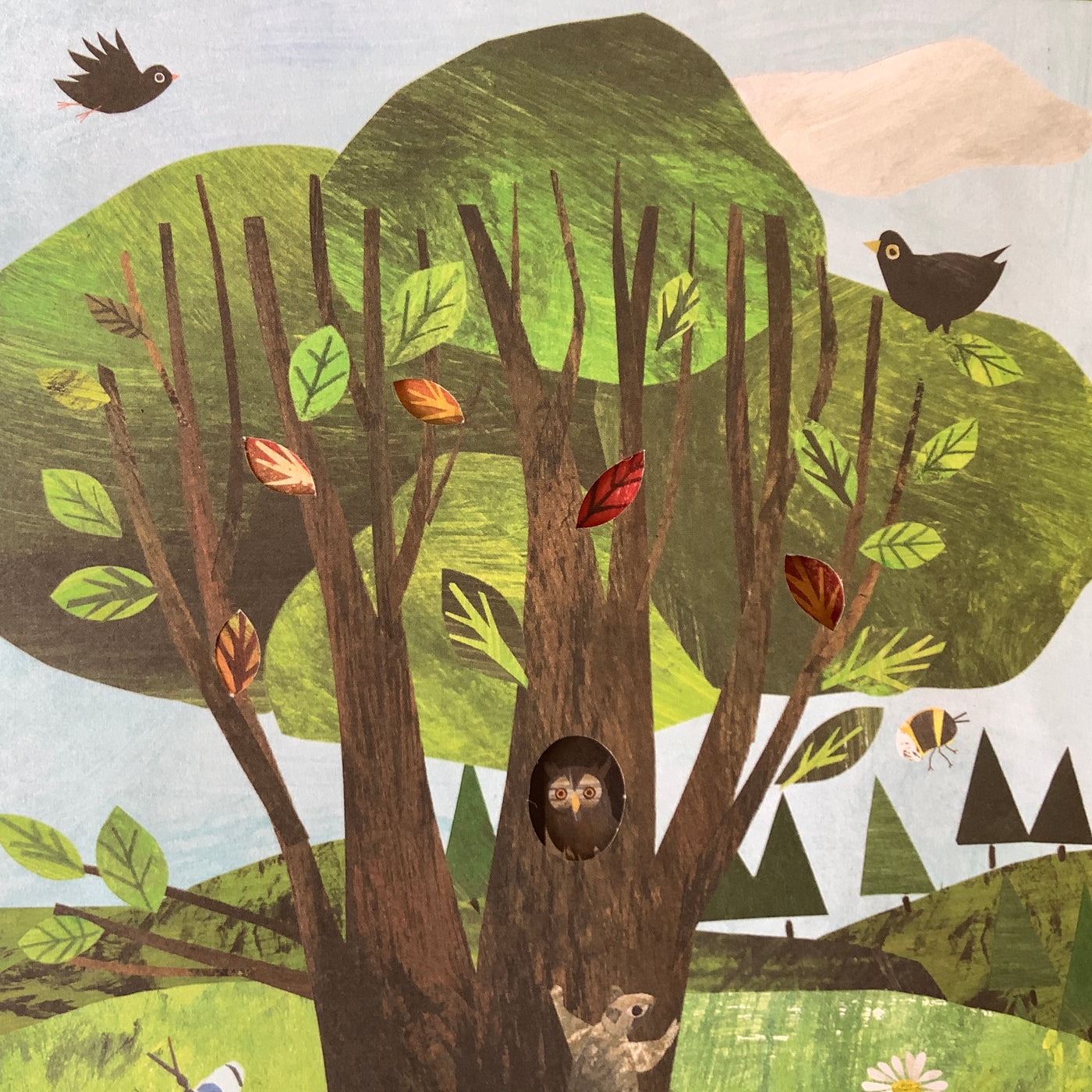 Puriri Lane | A Walk Through Nature | Libby Walden