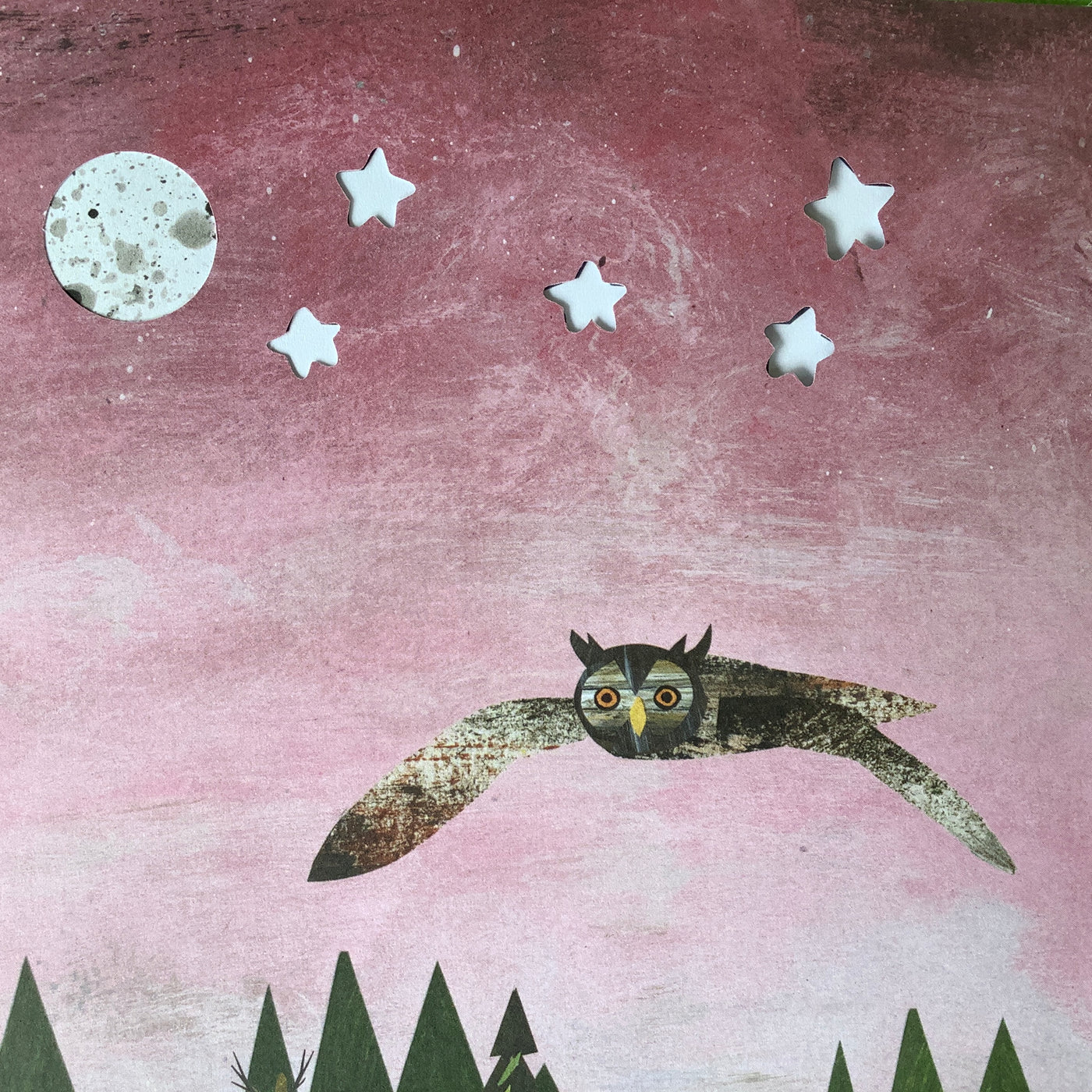 Puriri Lane | A Walk Through Nature | Libby Walden