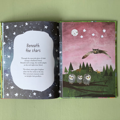 Puriri Lane | A Walk Through Nature | Libby Walden