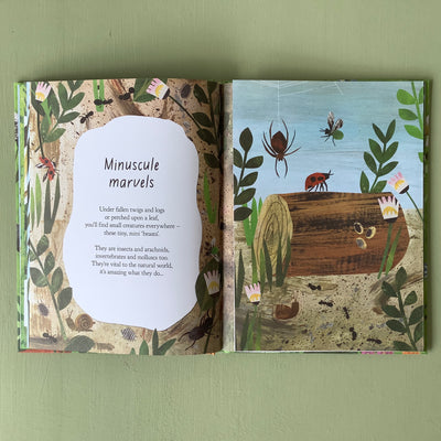 Puriri Lane | A Walk Through Nature | Libby Walden