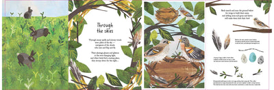 Puriri Lane | A Walk Through Nature | Libby Walden