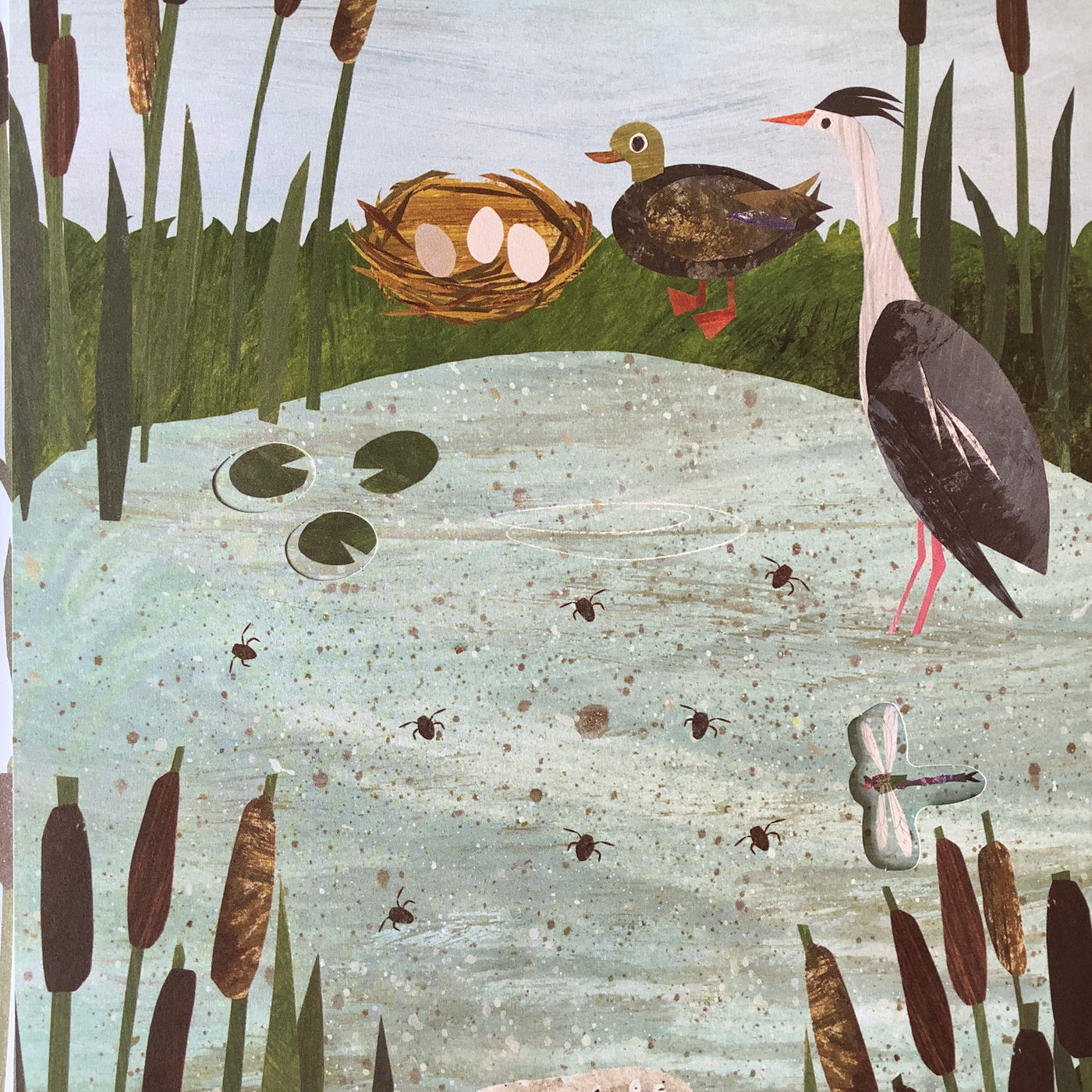 Puriri Lane | A Walk Through Nature | Libby Walden