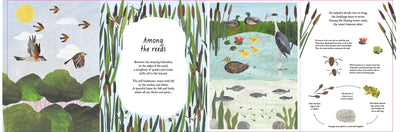 Puriri Lane | A Walk Through Nature | Libby Walden