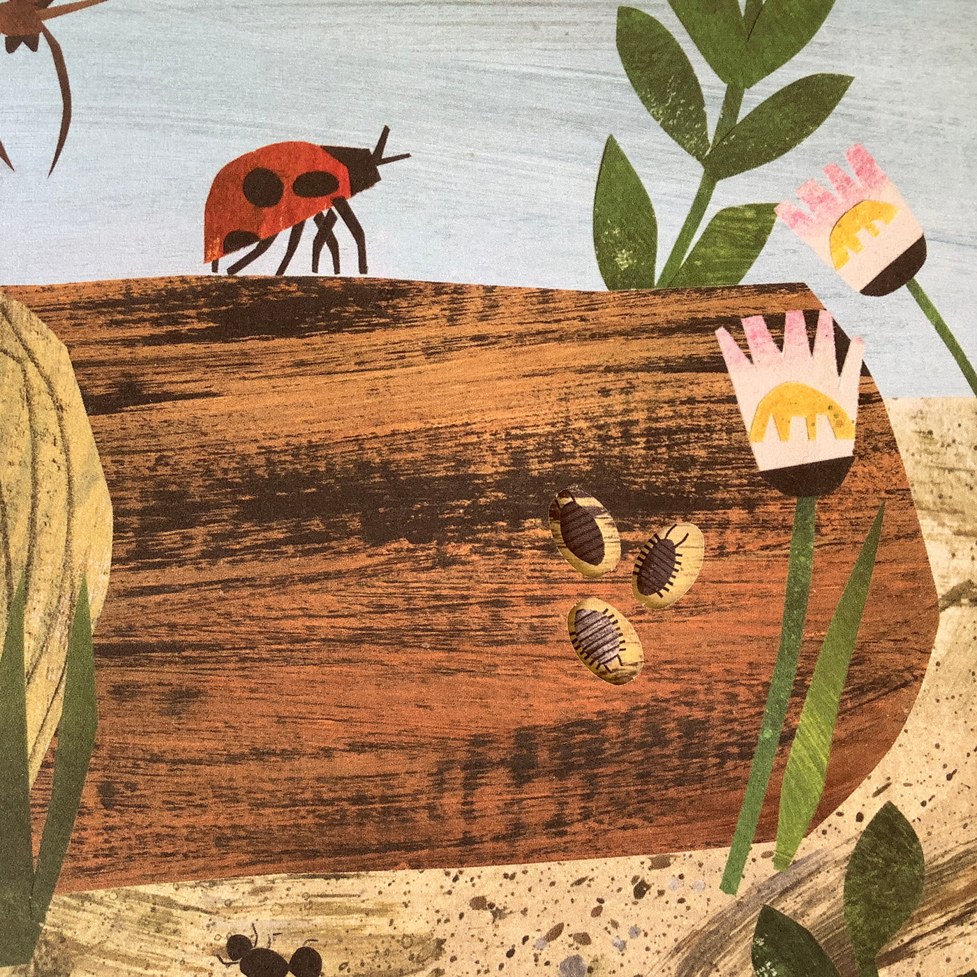 Puriri Lane | A Walk Through Nature | Libby Walden