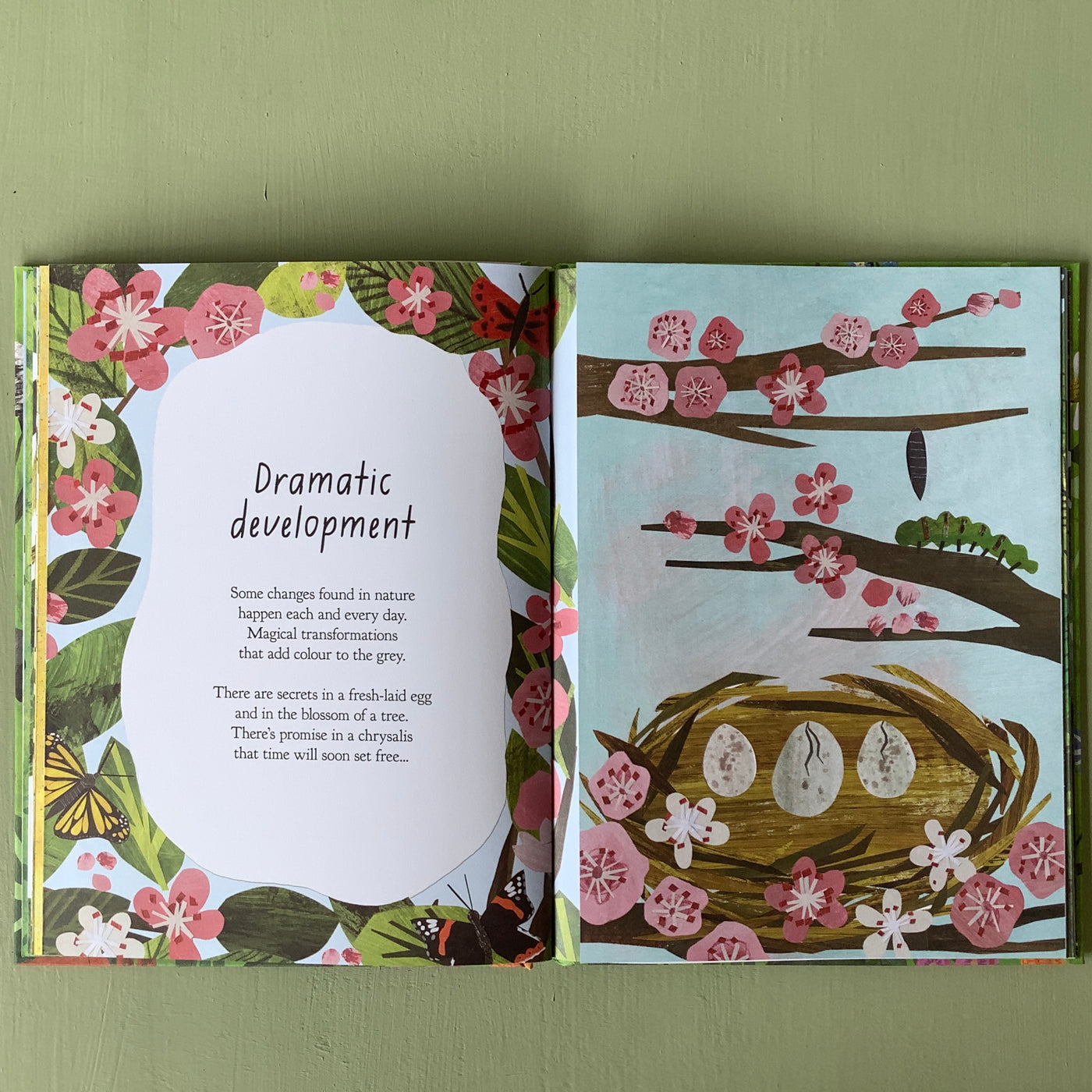 Puriri Lane | A Walk Through Nature | Libby Walden