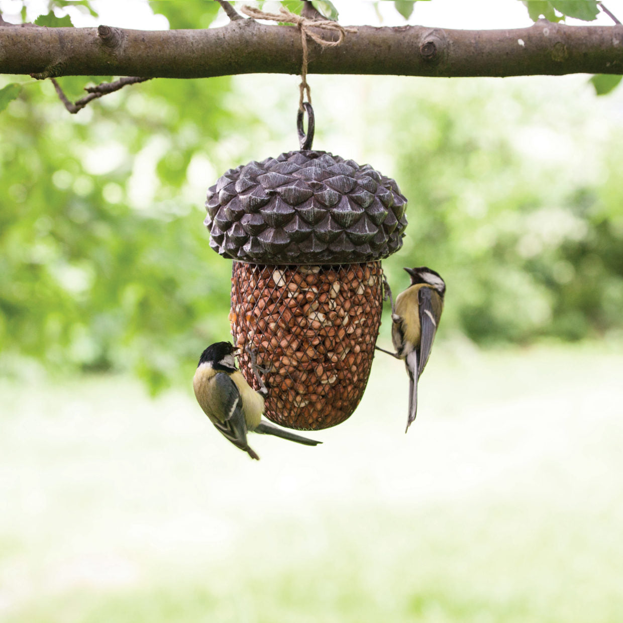 Puriri Lane | Acorn Bird Feeder