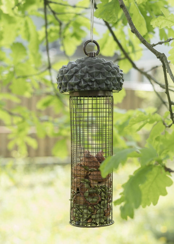Puriri Lane | Acorn Bird Feeder | Tall