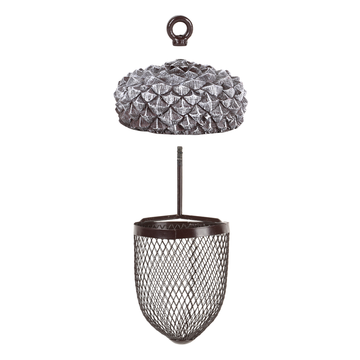 Puriri Lane | Acorn Bird Feeder