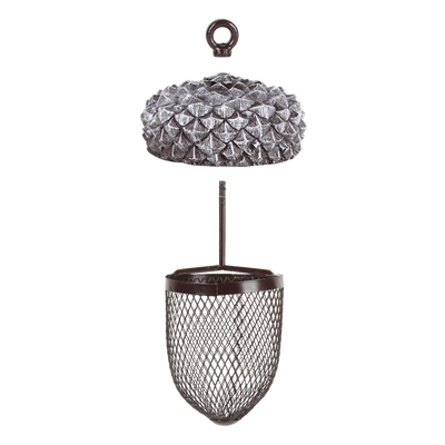 Puriri Lane | Acorn Bird Feeder