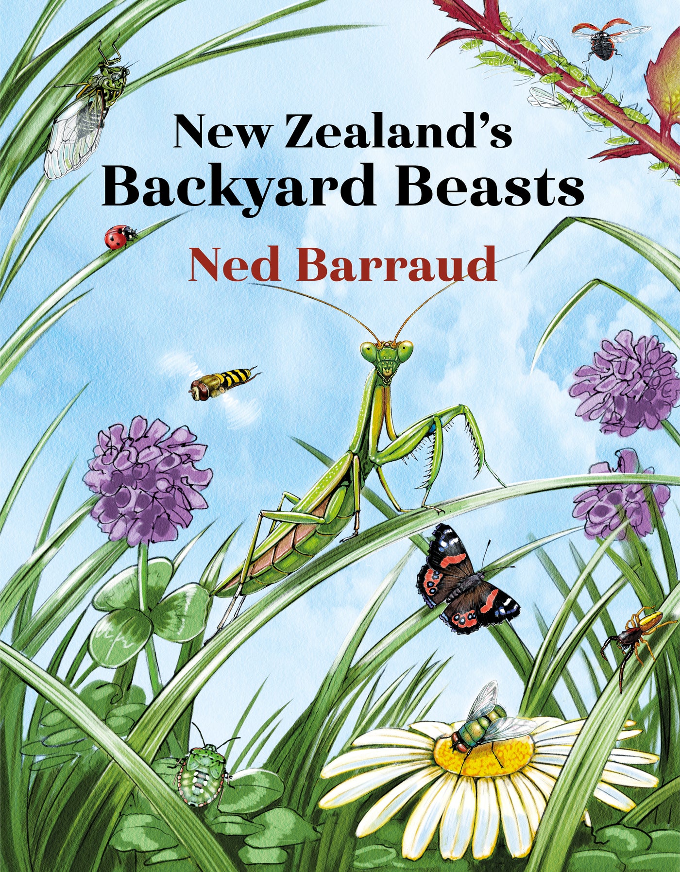 Puriri Lane | Backyard Beasts | Ned Barraud