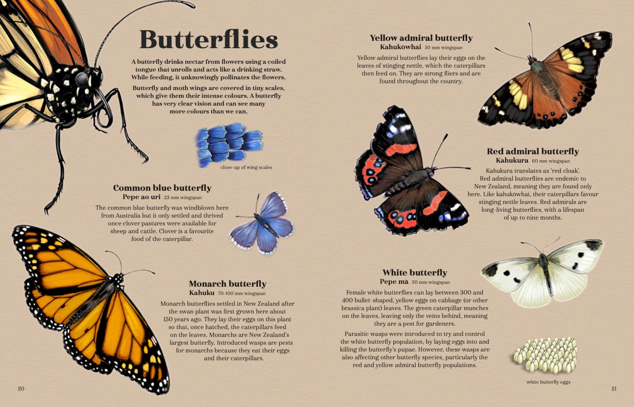 Puriri Lane | Backyard Beasts | Ned Barraud