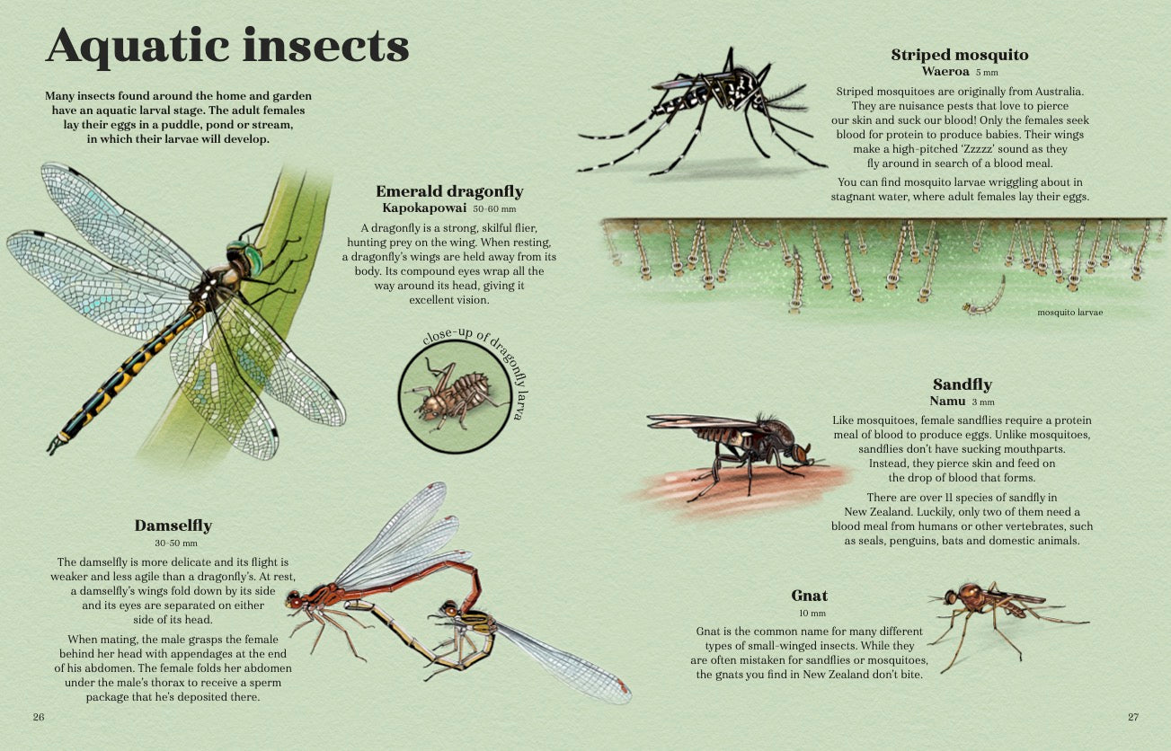 Puriri Lane | Backyard Beasts | Ned Barraud