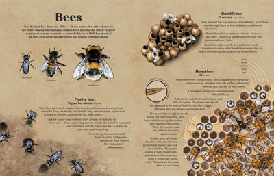 Puriri Lane | Backyard Beasts | Ned Barraud