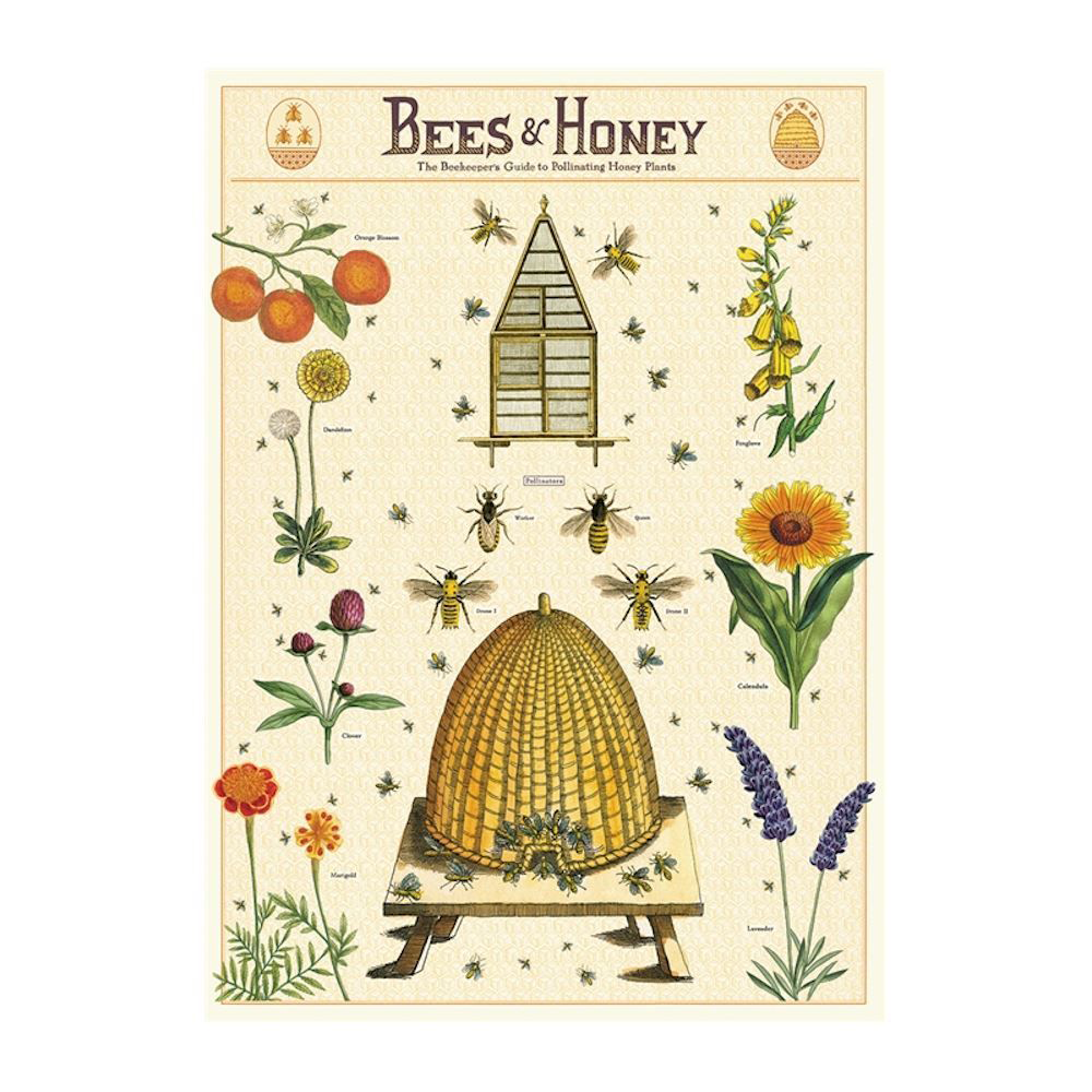 Puriri Lane | Cavallini & Co. | Bees & Honey | Poster 