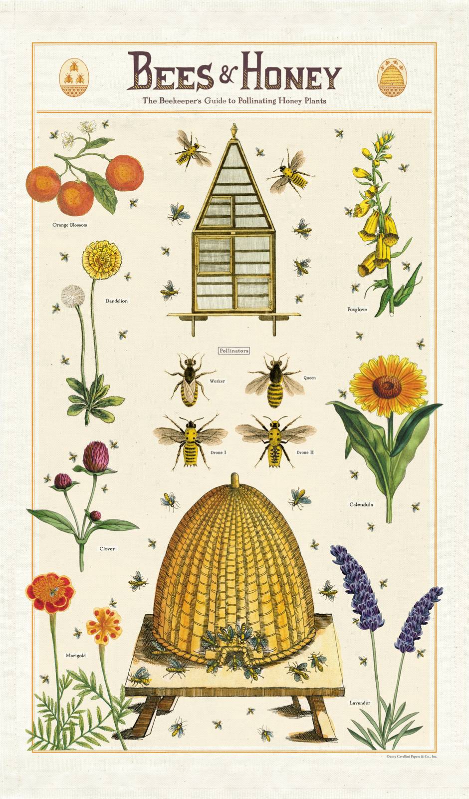 Puriri Lane | Tea Towel | Bees & Honey | Cavallini & Co.