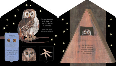 Puriri Lane | Bird House | Libby Walden