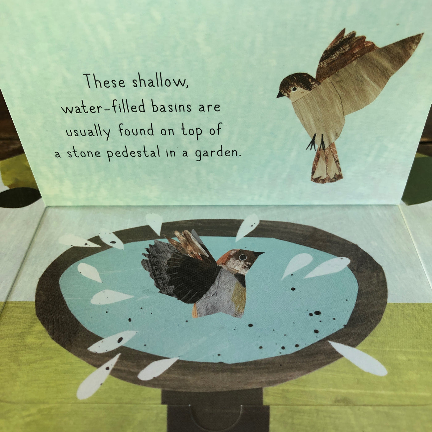 Puriri Lane | Bird House | Libby Walden