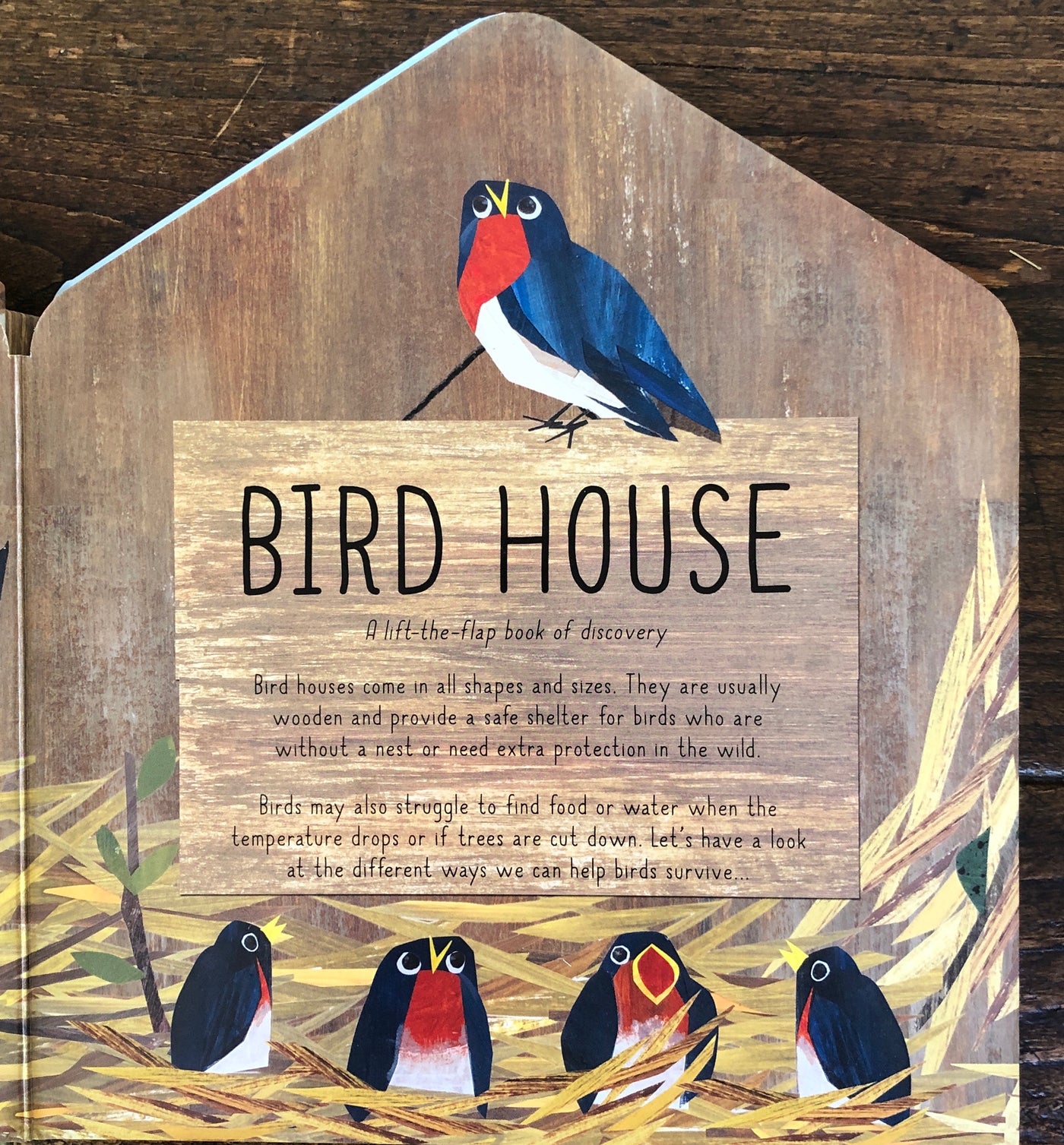 Puriri Lane | Bird House | Libby Walden