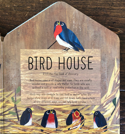 Puriri Lane | Bird House | Libby Walden