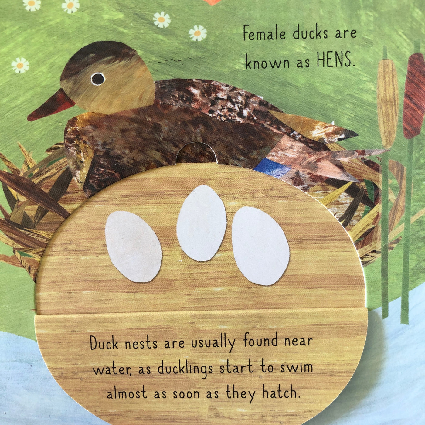 Puriri Lane | Bird House | Libby Walden