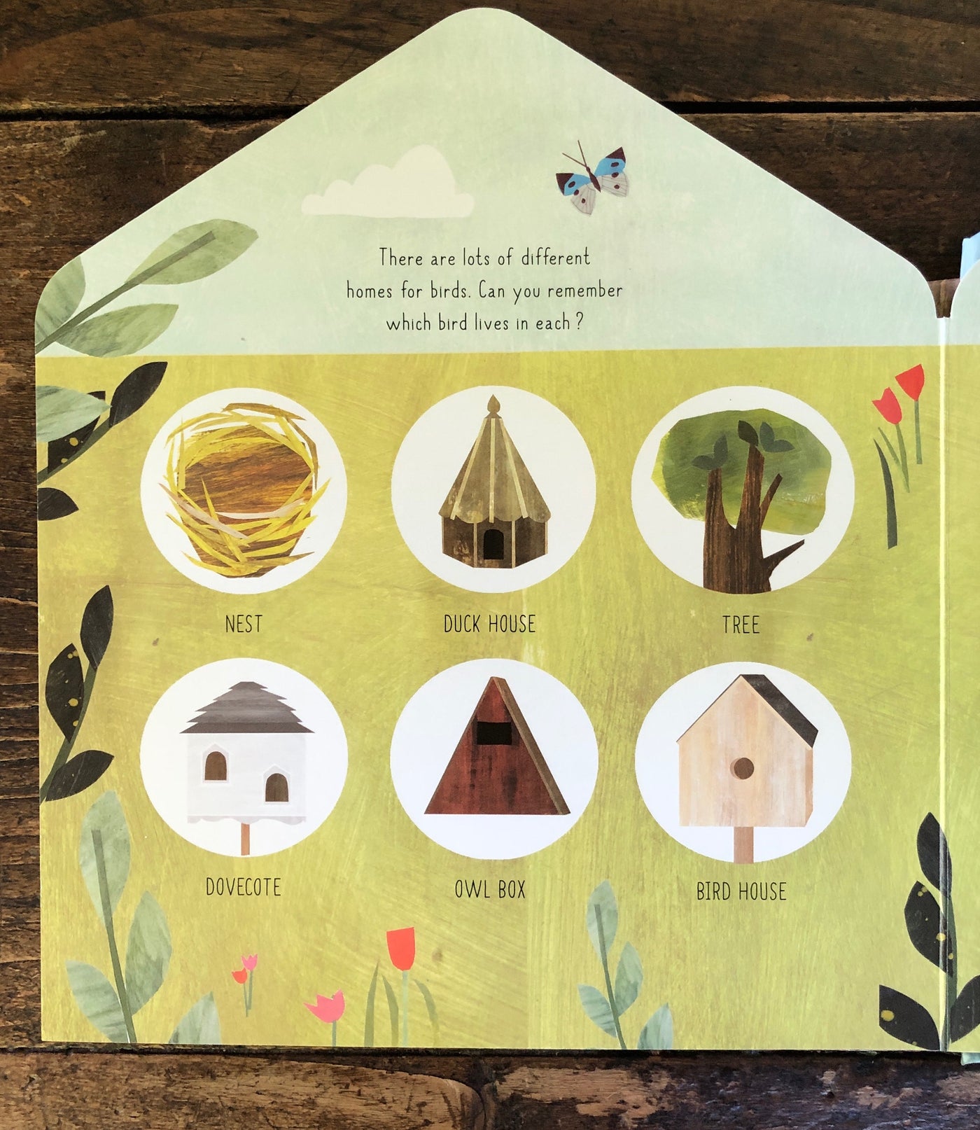 Puriri Lane | Bird House | Libby Walden