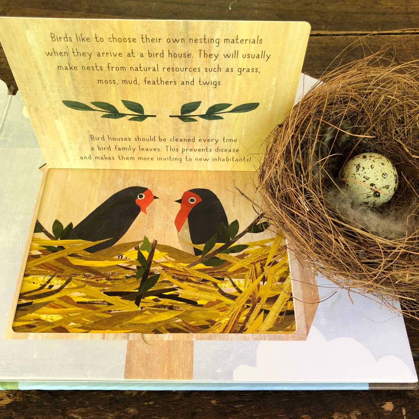 Puriri Lane | Bird House | Libby Walden