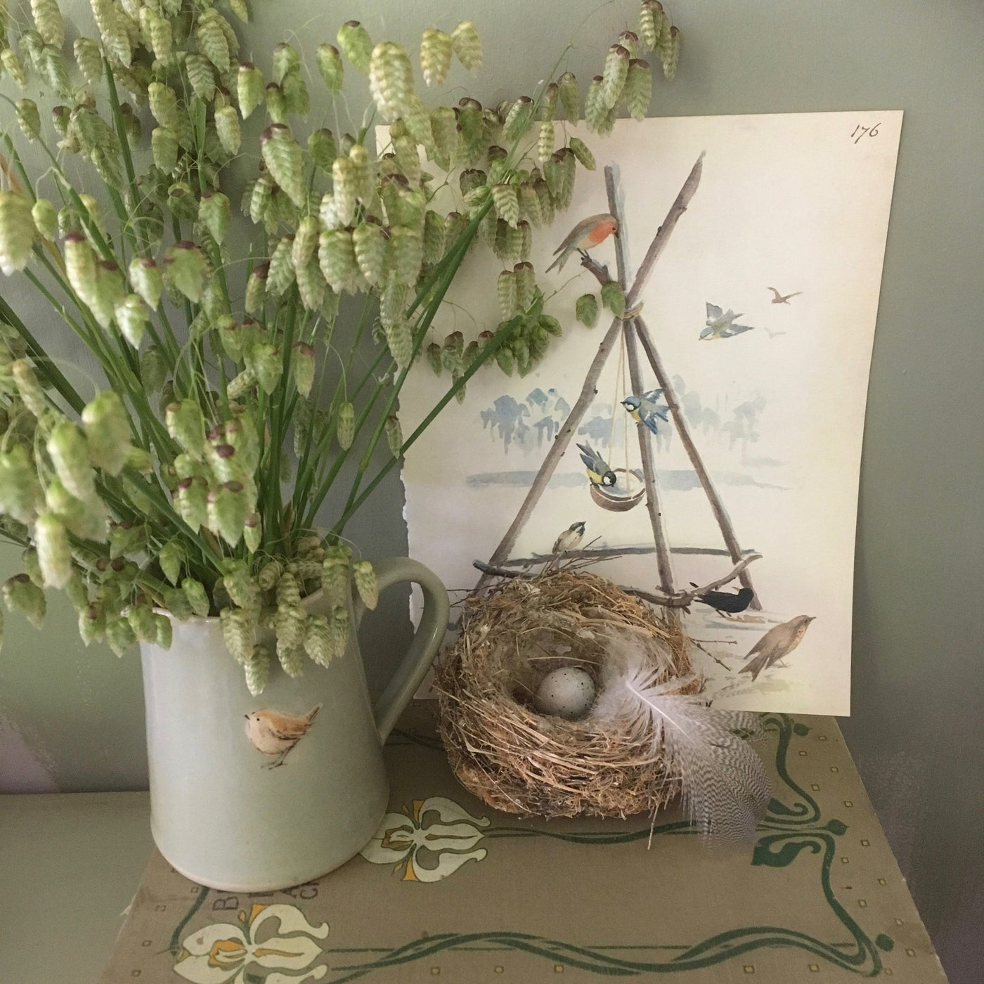 Puriri Lane | Briza Maxima