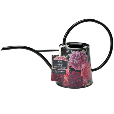 Puriri Lane | Watering Can | RHS | Blooms