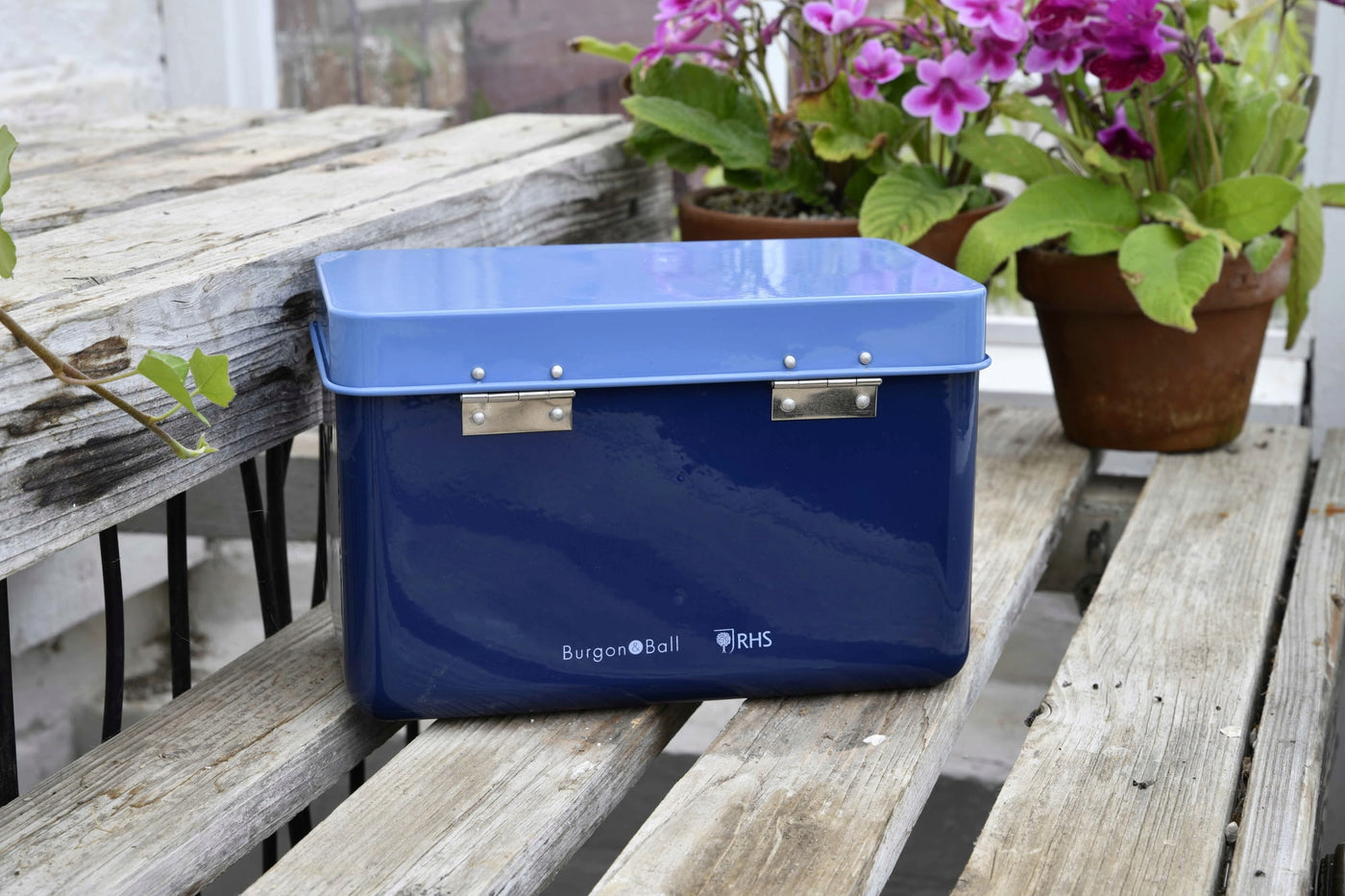 Puriri Lane| RHS | WIldflower Meadow | Seed Tin