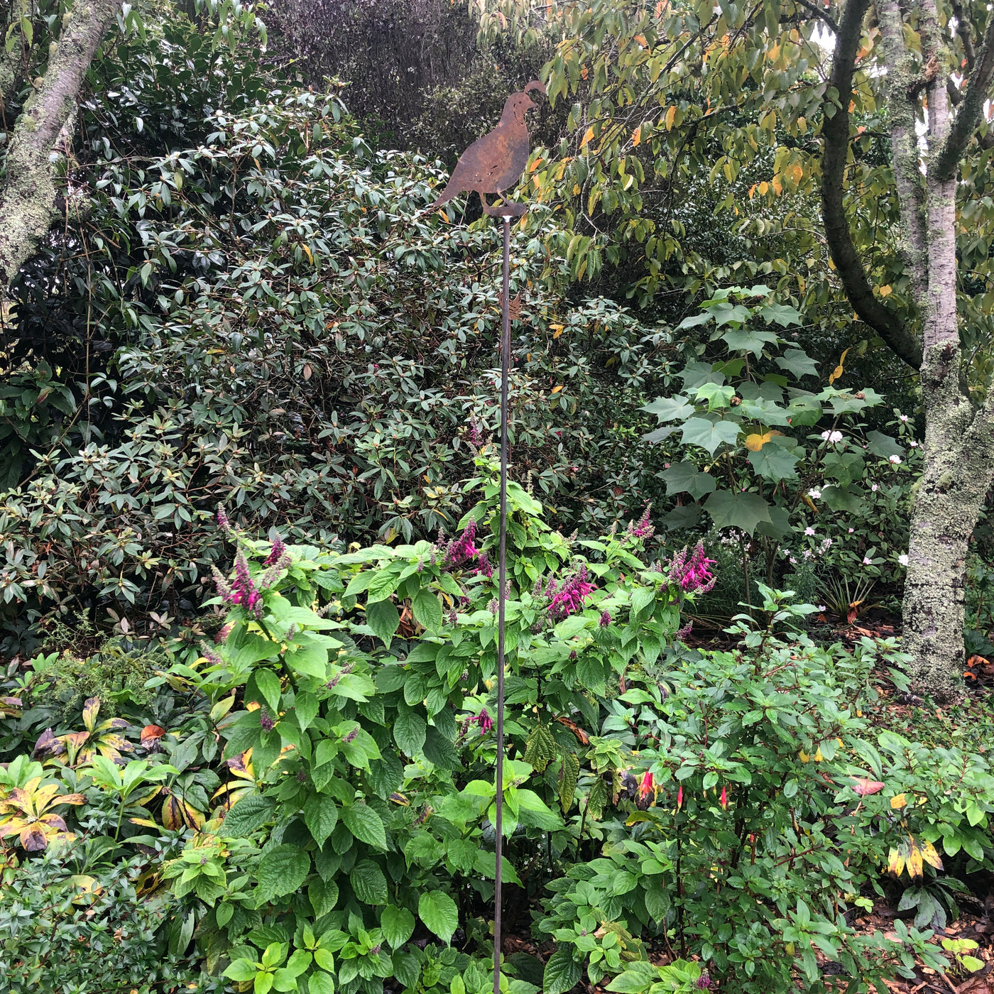Puriri Lane | Garden Stake | Quail | Corten Steel