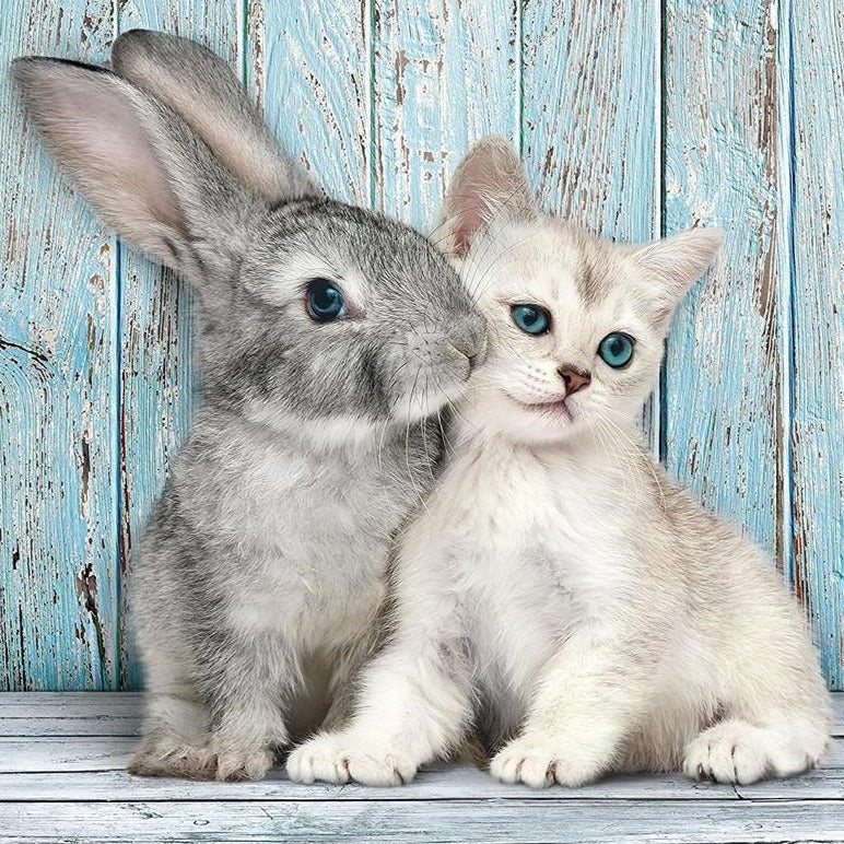 Puriri Lane | Kitten & Bunny | 500 Piece Puzzle