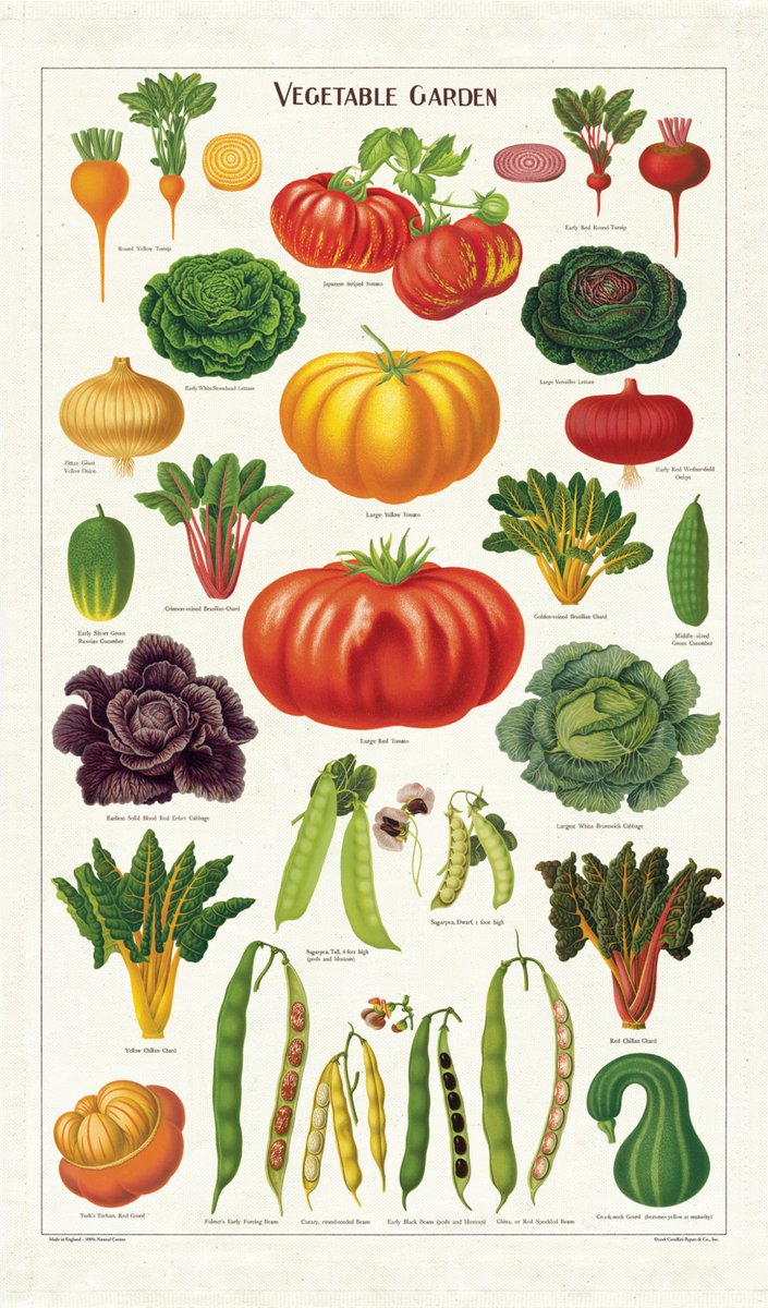 Puriri Lane | Tea Towel | Vegetable Garden | Cavallini & Co.