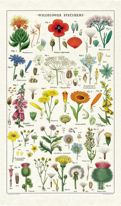 Puriri Lane | Tea Towel | Wildflowers | Cavallini & Co.