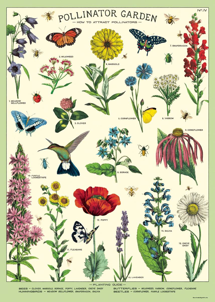 Puriri Lane | Pollinator Garden Wrap | Cavallini & Co.