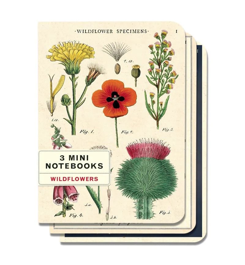 Puriri Lane | Cavallini & Co. | Wildflower Notebooks | Set of 3