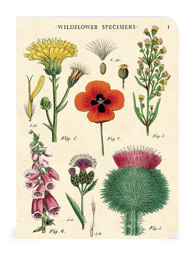 Puriri Lane | Cavallini & Co. | Wildflower Notebooks | Set of 3